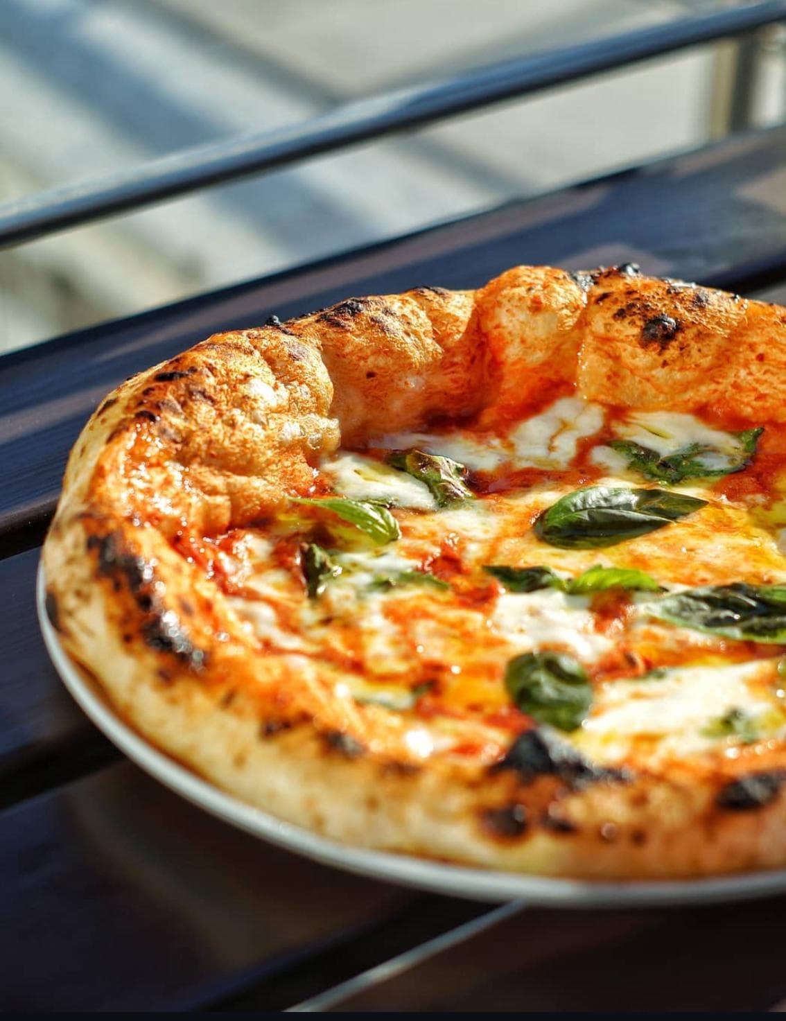 Nygräddad pizza margherita i närbild